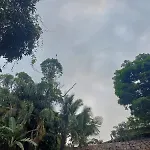 Casa Dos Papagaios Ilhabela