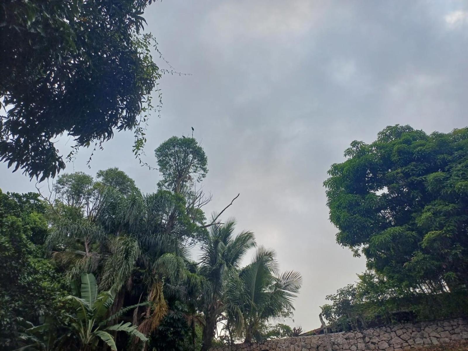 Casa Dos Papagaios Ilhabela